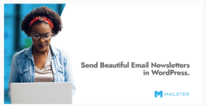 Mailster - Email Newsletter Plugin for WordPress