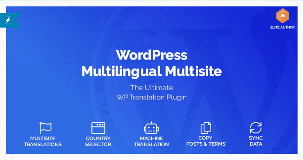 WordPress Multilingual Multisite