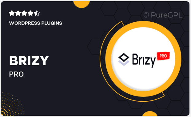 Brizy Pro